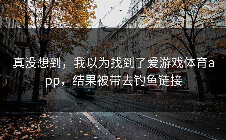 真没想到，我以为找到了爱游戏体育app，结果被带去钓鱼链接